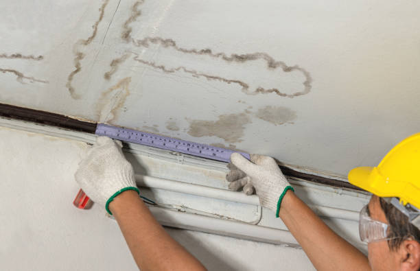 Reliable Mold Remediation contractor in Fort Payne, AL by Water Damage Irwin